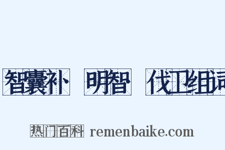 智囊补·明智·伐卫组词是什么意思的图片